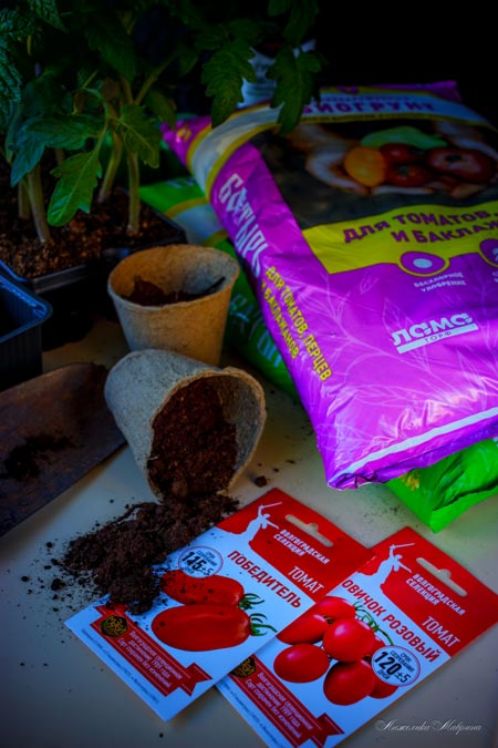 МУЗЕЙ СЕМЯН - проверенные семена агрокультур МУЗЕЙ СЕМЯН - проверенные семена агрокультур