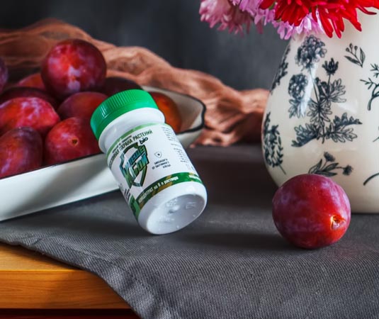 Клещебой БИО - биологическая защита от насекомых-вредителей Клещебой БИО - биологическая защита от насекомых-вредителей