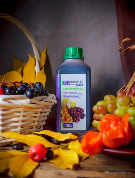 Fulvochelate - cтимулятор роста и плодоношения Fulvochelate - cтимулятор роста и плодоношения