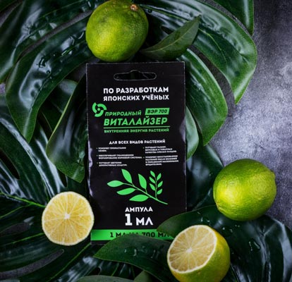 ВИТАЛАЙЗЕР ВЭР-700 - адаптоген и антистресс ВИТАЛАЙЗЕР ВЭР-700 - адаптоген и антистресс