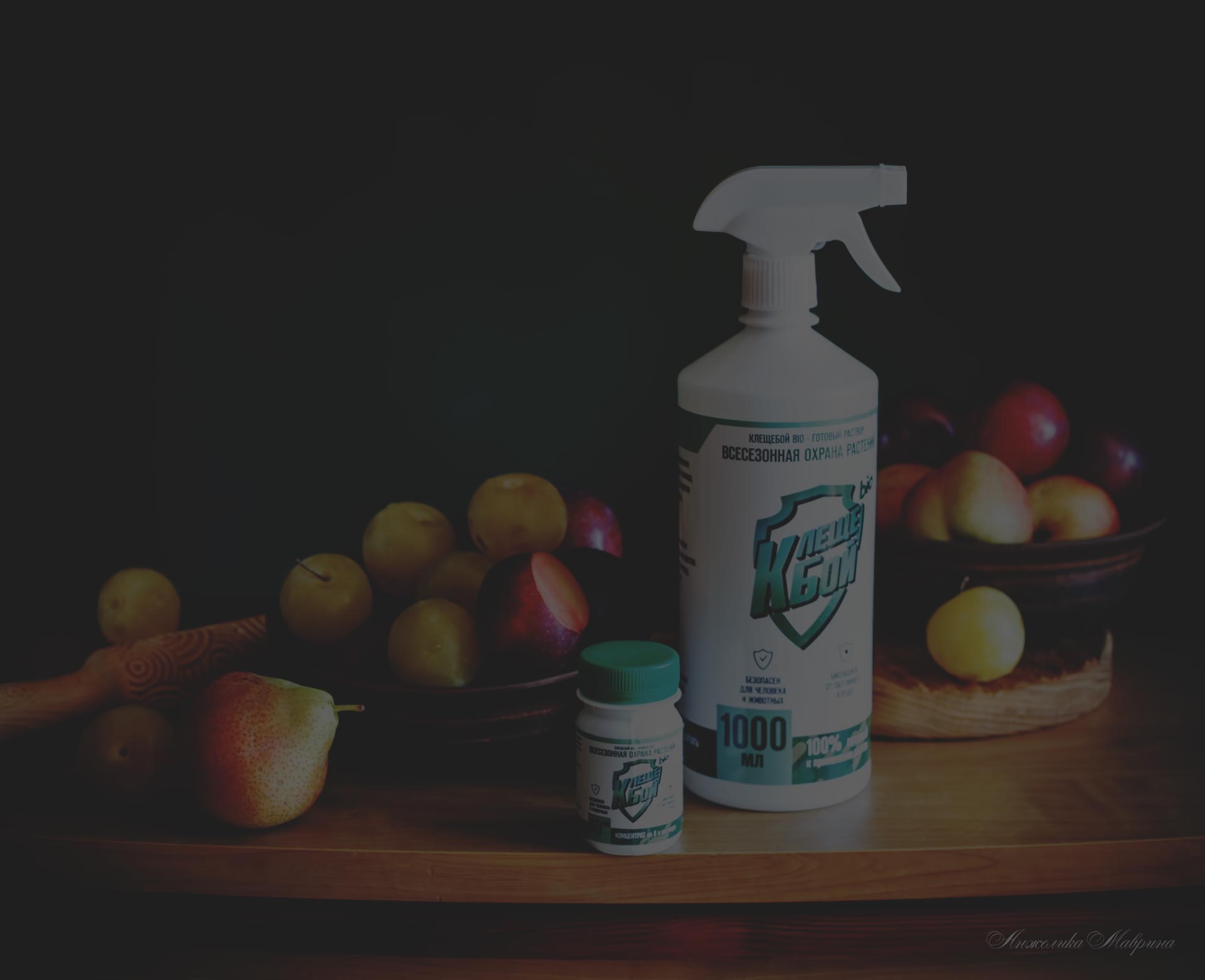 Как защитить рассаду от весенних заморозков Как защитить рассаду от весенних заморозков