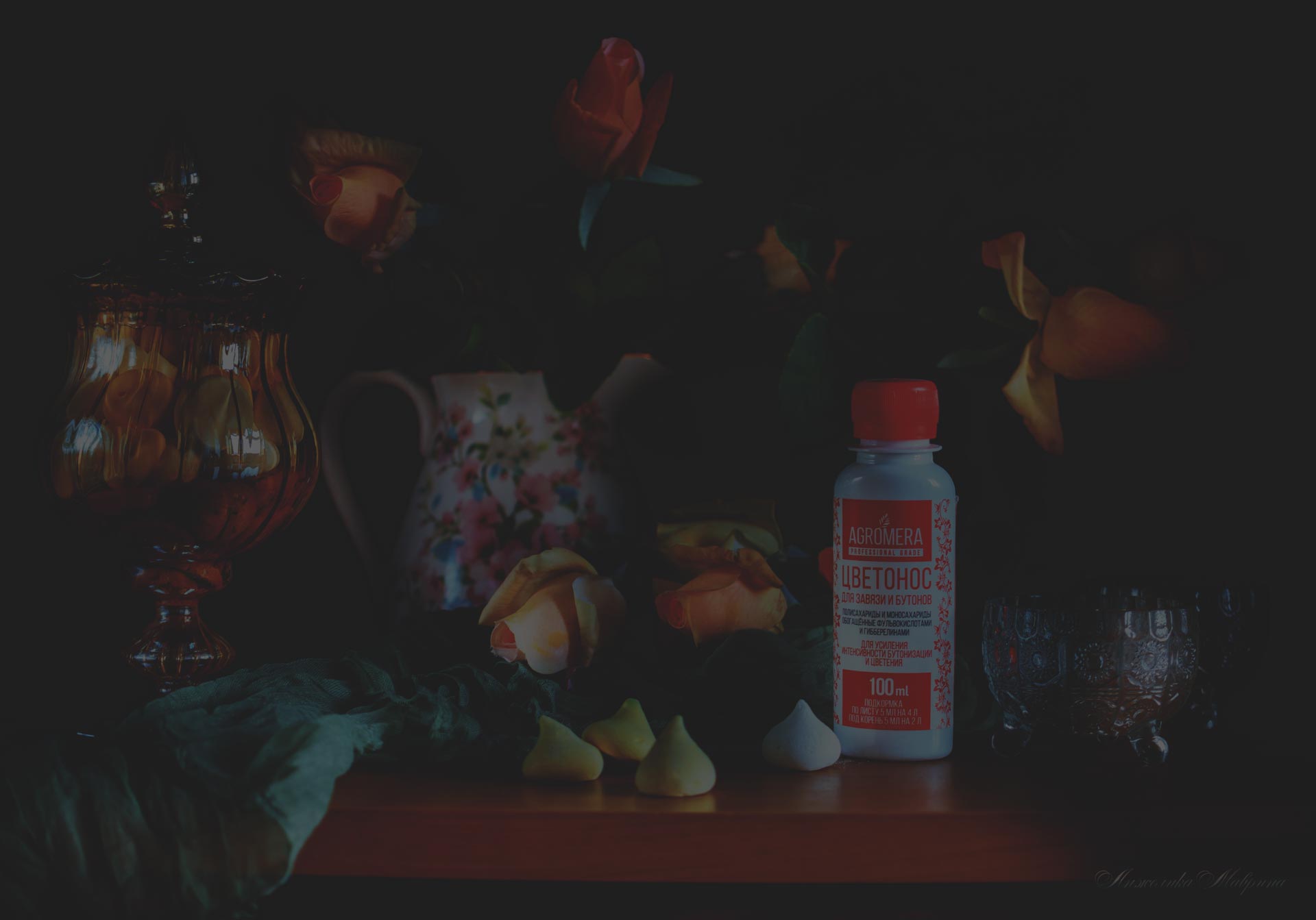 Как защитить рассаду от весенних заморозков Как защитить рассаду от весенних заморозков