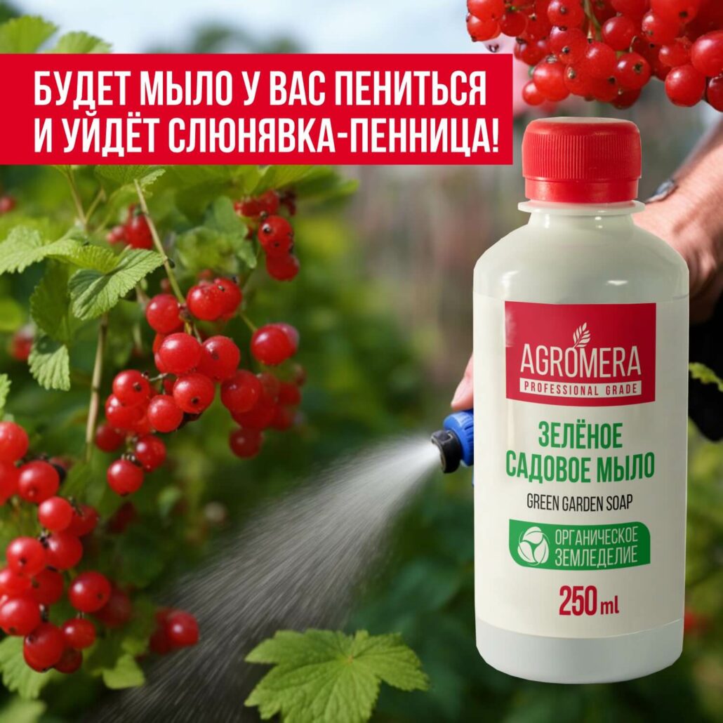Зеленое мыло от вредителей