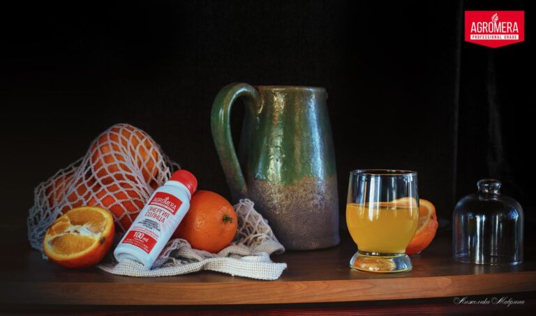 Чудо-средство для комнатных растений: преображаем домашний сад с 'Энергией солнца' Удобрение для листовых подкормок