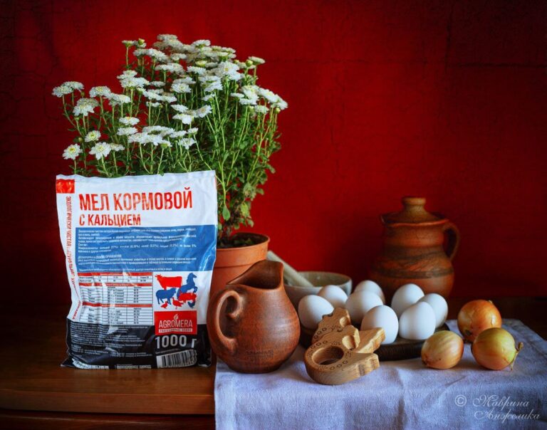 Кормовой мел для животных: двойная польза магния и кальция купить кормовой мел для животных