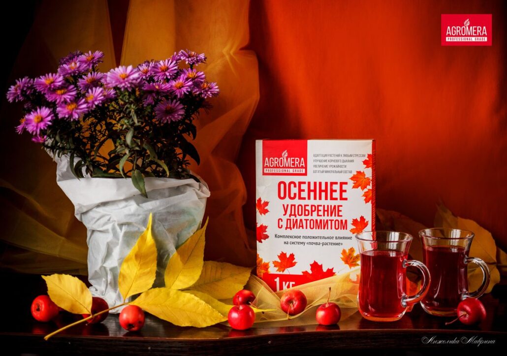 подкормка кустов осенью