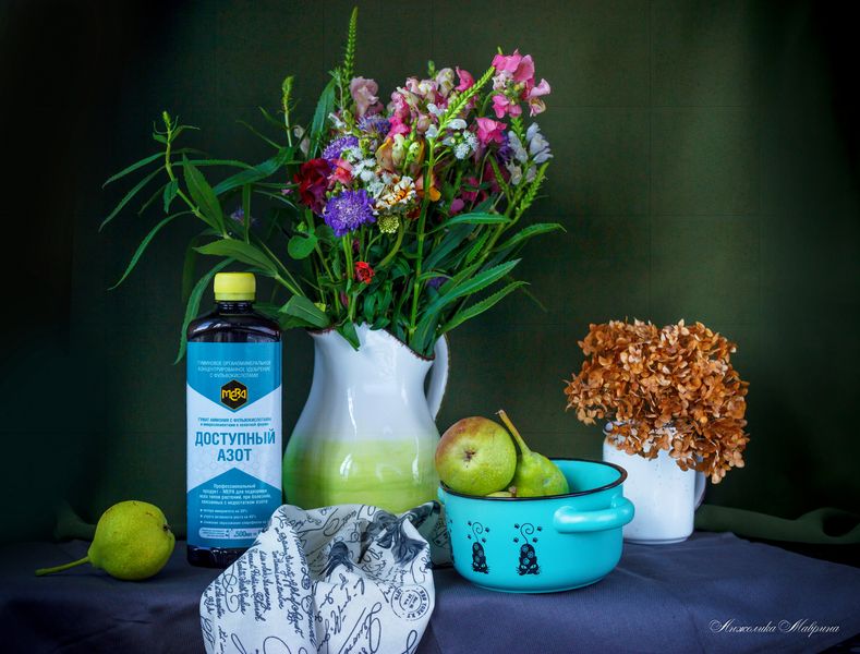 Подготовка семян к посеву: все этапы обработки для здоровых всходов