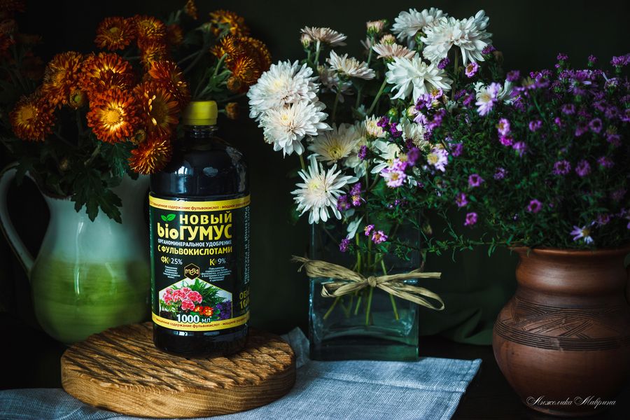 Как превратить скромное цветение в пышный сад: новый подход к уходу за домашними растениями