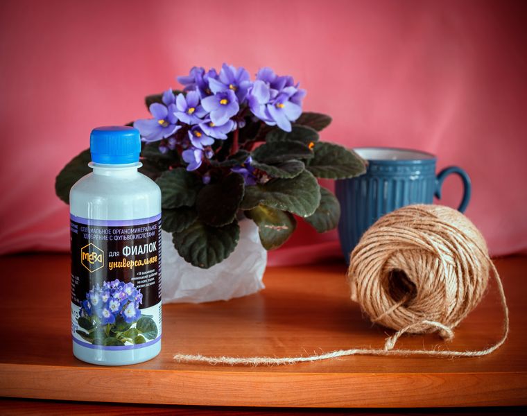 Комплексный подход к выращиванию фиалок Комплексный подход к выращиванию фиалок