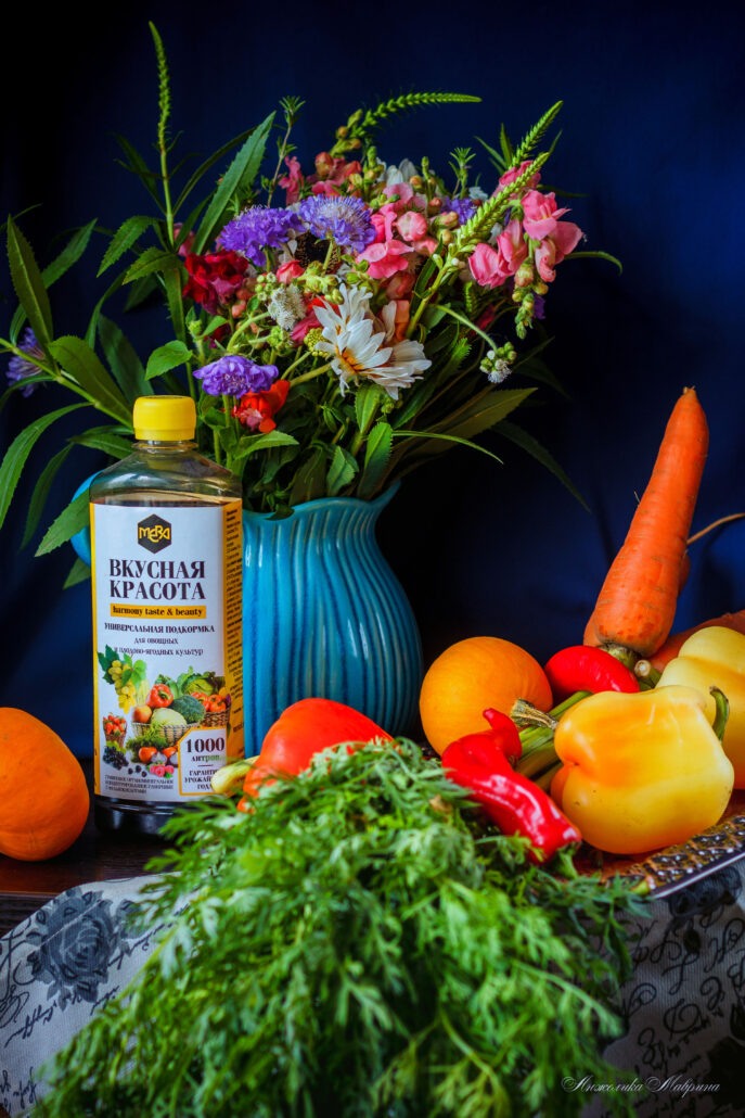 Выращивание огурцов в теплице из поликарбоната: пошаговое руководство