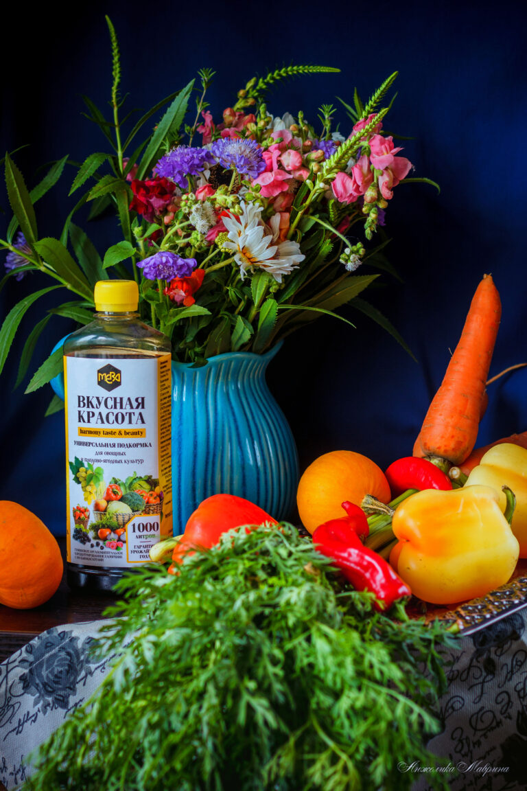 Выращивание огурцов в теплице из поликарбоната: пошаговое руководство Выращивание огурцов в теплице из поликарбоната: пошаговое руководство