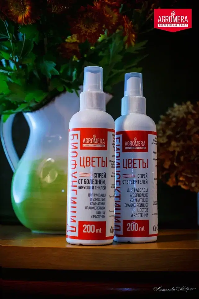 Применение биологических препаратов для защиты растений от заболеваний дома в холодное время года Применение биологических препаратов для защиты растений от заболеваний дома в холодное время года