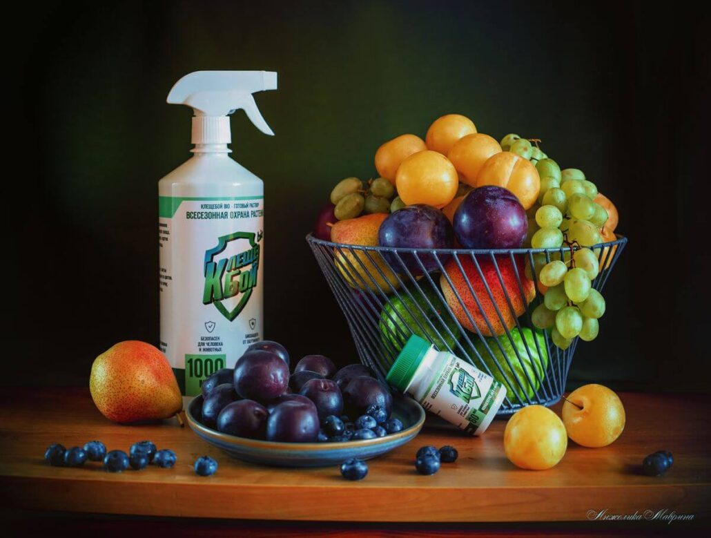 Вредители комнатных растений - эфективные методы борьбы с ними