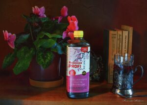 Секреты правильного ухода за комнатными растениями