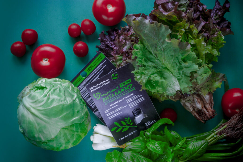 Растения, которые можно сажать на улице в марте в открытый грунт